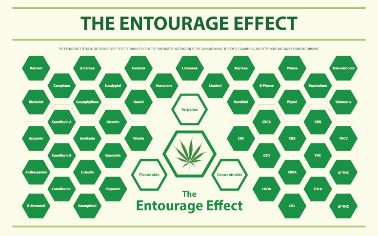 L’effet d’entourage